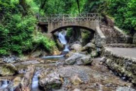 تور گردشگری علی آباد و جنگل ابر شاهرود