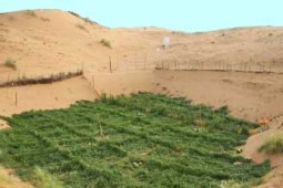 گردشگری کشاورزی کویر