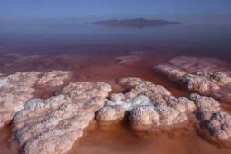 لجن درمانی در کویر