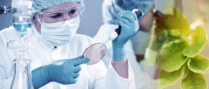 شرکت تحقیق و توسعه فناوری پیشرفته علوم زیستی و سلامت سپهر کاشان