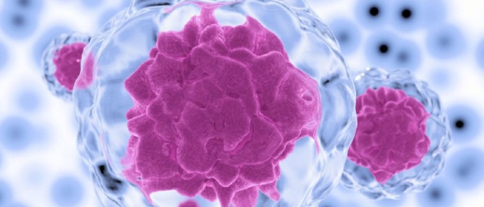 شرکت تحقیق و توسعه فناوری پیشرفته علوم زیستی و سلامت سپهر کاشان