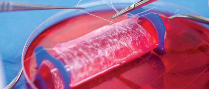 شرکت تحقیق و توسعه فناوری پیشرفته علوم زیستی و سلامت سپهر کاشان