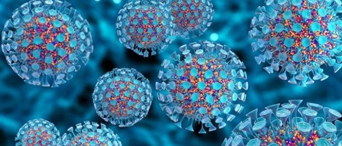 شرکت تحقیق و توسعه فناوری پیشرفته علوم زیستی و سلامت سپهر کاشان