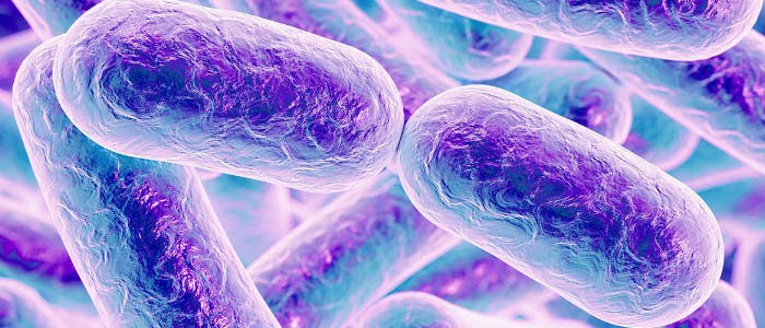 شرکت تحقیق و توسعه فناوری پیشرفته علوم زیستی و سلامت سپهر کاشان