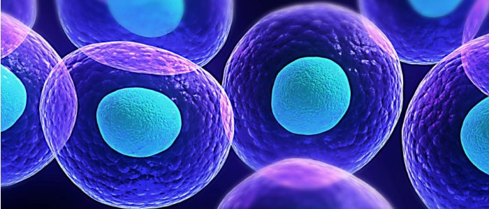 شرکت تحقیق و توسعه فناوری پیشرفته علوم زیستی و سلامت سپهر کاشان