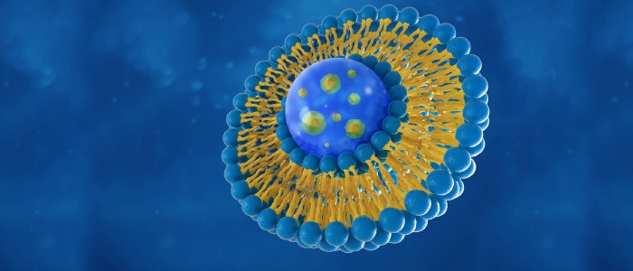 شرکت مجتمع صنایع زیست فناوری درین