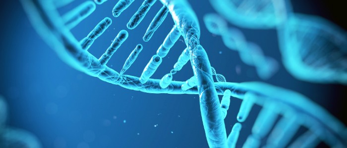 شرکت مجتمع صنایع زیست فناوری درین