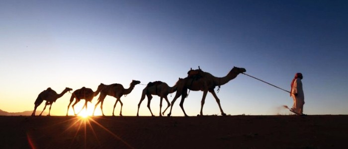 شرکت توسعه پژوهش و تولید "آرانا"